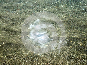 Rocks under water view