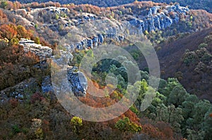 Rocks and vegetation