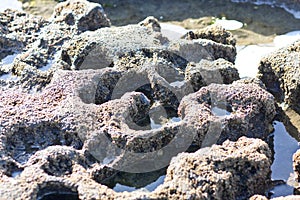 Rocks and vegetation on Doolin beach, county Clare, Ireland