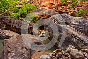 Rocks in the Virgin River Narrows in Zion National Park.