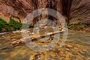 Rocks in the Virgin River Narrows in Zion National Park.