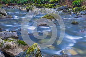 Rocks and water flowing in Holland Creek trail in Ladysmith, Van