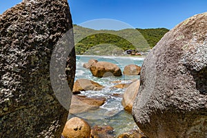 Rocce onde un foresta Spiaggia 