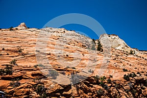 Rocks of weathered sandstone in Zion National Park, Utah, USA