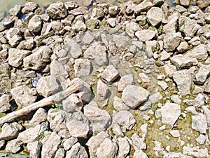 the rocks and wreckage, after the water of the river down.