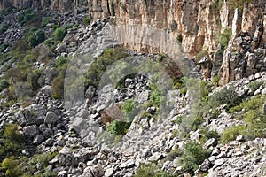 Rocky area with landslides photo