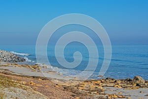 The rocky Atlantic Coast, at Marineland Beach in Marineland, Flagler County, Florida