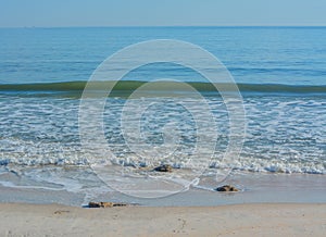 The rocky Atlantic Coast, at Marineland Beach in Marineland, Flagler County, Florida