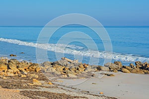 The rocky Atlantic Coast, at Marineland Beach in Marineland, Flagler County, Florida