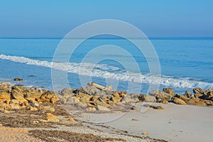 The rocky Atlantic Coast, at Marineland Beach in Marineland, Flagler County, Florida photo