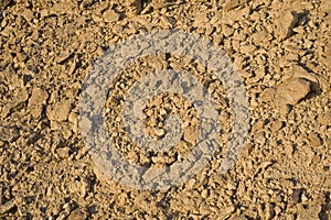 Rocky background texture