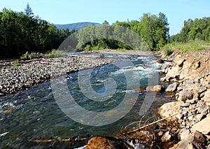 The rocky bank of a small turbulent river flowing down from the mountains through the coniferous forest