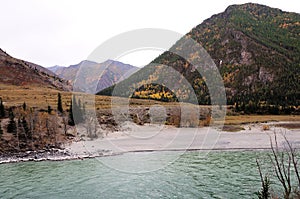 A rocky bank of a turbulent mountain river at the foot of a high mountain surrounded by pine trees