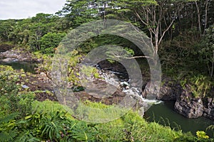 Rocky banks and woodlands along wailuku river