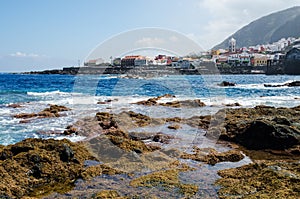 Rocky beach with algae and town of Garachico. Tenerife North, Canary islands, Spain