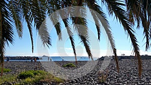 Rocky beach coast on the island. Volcanic beach. View of palm trees and a ship in the ocean.