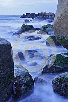 Rocky beach covered by seaweed