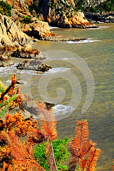 The Rocky Beach on Dongtou Island County