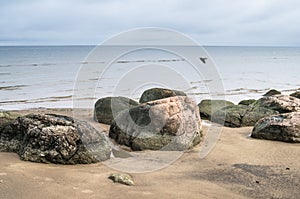 Rocky beach on the Gulf of Finland