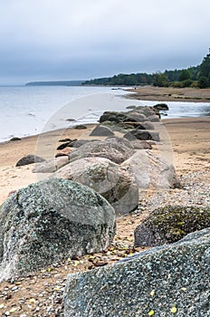 Rocky beach on the Gulf of Finland. Estonia