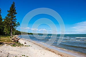 rocky beach in Hiiumaa island Estonia