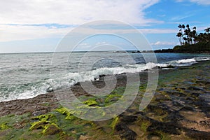 Rocky beach at low tide (Turtle Beach)