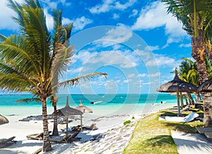 Rocky beach of mauritius with palm trees and deckchairs