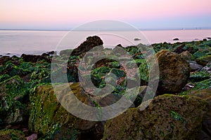 Rocky beach, San Francisco Bay