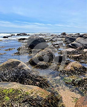 A rocky beach on a sunny day in Rhode Island