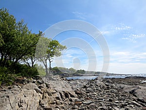 Rocky beach with trees at Ryefield Cove with clouds in the sky o