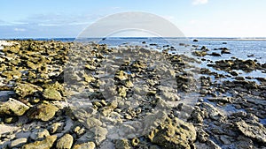A rocky beach on the tropical island of Rarotonga