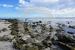 A rocky beach on the tropical island of Rarotonga