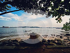 Rocky beach at Ubin island photo