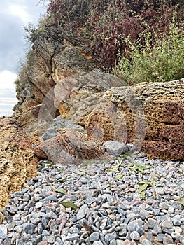 Rocky beach with wild grasses and plants growing