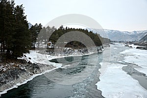 A rocky bed of a beautiful mountain river overgrown with tall pines, flowing through a snow-covered valley