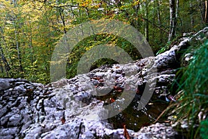 Rocky bed of a mountain stream