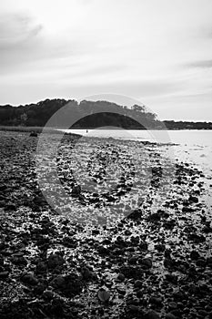 Rocky black and white beach portrait