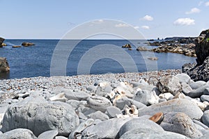 Rocky and Bony Beach in Bonavista, Newfoundland