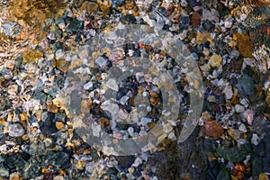 Rocky bottom of mountain stream, close-up. Colorful stones under clear water. Beautiful distortion background. Natural mosaic of