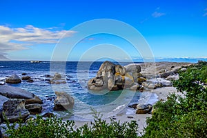 Rocky boulder\'s beach is a turqoise and sheltered beach and a famous tourist destination in cape town photo