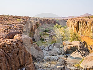 Rocky canyon with green bushes and trees in Palmwag Concession, Namibia, Southern Africa