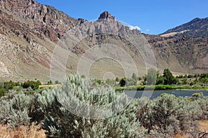 Rocky Canyon near Challis, Idaho