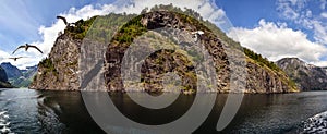 Rocky cape and the flight of seagulls. Norway. Summer.Panorama