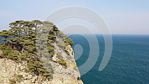 Rocky cape overgrown with pine trees in windy weather. Drone view