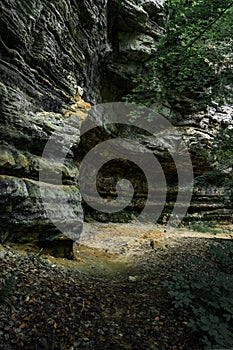 The rocky cliff in forest