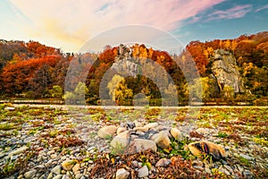 Rocky cliff with yellowed trees and mountain river in autumn