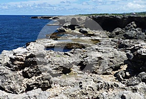 Rocky Cliffs in Barbados, West Indies
