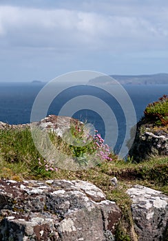 Rocky cliffs at Handa Island near Scourie in Sutherland on the north west coast of Scotland, UK.