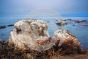 Rocky cliffs at low tide, flock of birds, and dark blue ocean. Overcast day at Pismo Beach, California