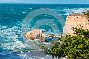 Rocky cliffs, ocean view, and California native forest, amazing view from Montana de Oro Bluff trail, CA